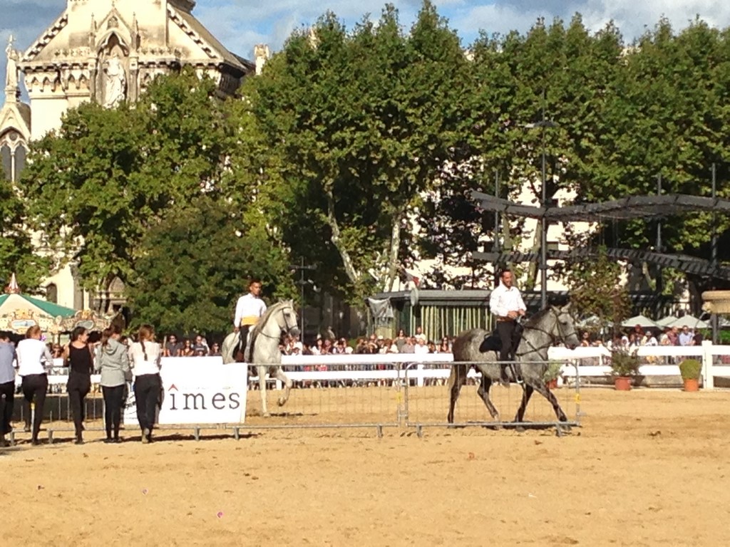 Espace Andalou equestrian performances Feria de Nîmes