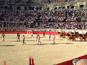 Corridas-Bullfight-Nîmes